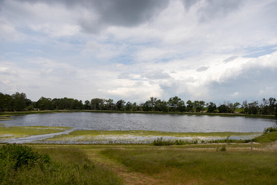 The bathing pond at the L&uuml;bsch&uuml;tzer Teichen near Machern in Saxony.