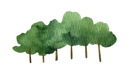 Hand drawn watercolor forest deciduous tree clipart