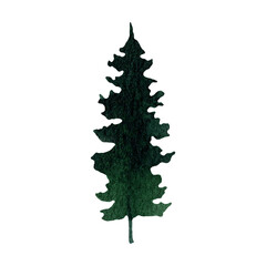 .Hand drawn watercolor fir tree forest clipart