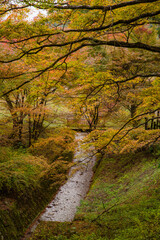 文保寺（丹波篠山市）の紅葉
