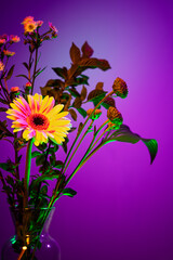 Summer bouquet of flowers, abstract floral composition in glass vase over purple background in neon light. Concept of floristry, decorations, creativity, decor