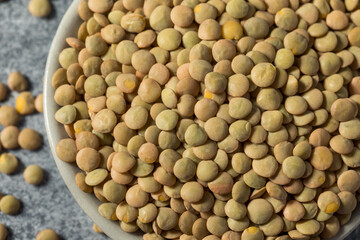 Raw Brown Organic Lentils Legumes