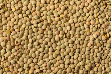 Raw Brown Organic Lentils Legumes