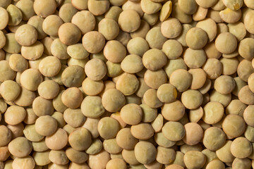 Raw Brown Organic Lentils Legumes