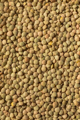 Raw Brown Organic Lentils Legumes