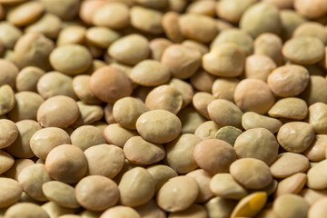 Raw Brown Organic Lentils Legumes