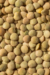Raw Brown Organic Lentils Legumes