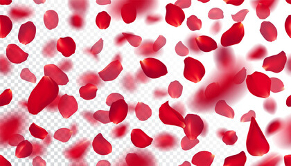 Seamless pattern with realistic flying red rose petals on transparent background. Repeating texture with voluminous blurred falling burgundy petal. Vector illustration with blur effect.