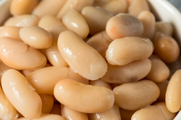 Raw Organic White Cannellini Beans