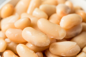 Raw Organic White Cannellini Beans