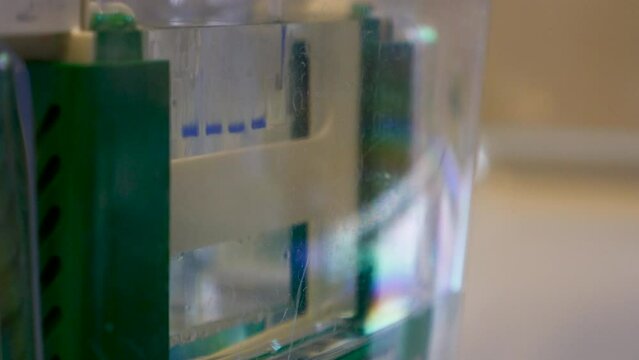 Drops of liquid into western blotting wet tank apparatus. Close up.