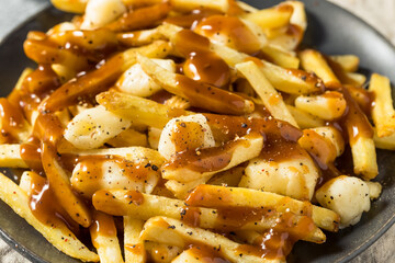 Homemade Cheesey Poutine French Fries