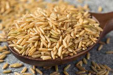 Raw Organic Dry Brown Rice