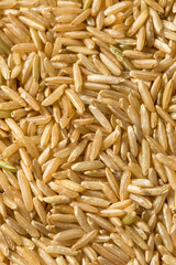 Raw Organic Dry Brown Rice
