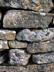 Fondo. Pared de piedra seca. Tipo de construcci&oacute;n.