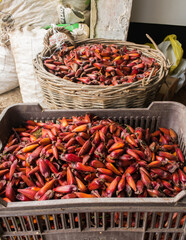 Araucaria pine nuts (pinhao) for sale in Sao Francisco de Paula - typical autumn/winter food in the South of Brazil