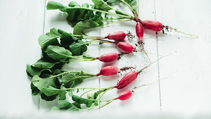Fresh bunch of radishes on a white wooden background