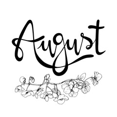 Letrero de letras escritas a mano y vectorizado "August". Recurso grafico sobre fondo blanco, agosto mes del año con flores de Begonias.