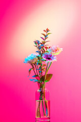 Naklejka na ściany i meble Beautiful bouquet of flowers, abstract floral composition in glass vase over pink, magenta background in neon light. Concept of floristry, decorations, creativity, decor
