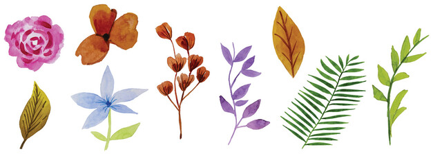 Watercolor painting of flowers and leaves in nature,watercolor background,2d illustration