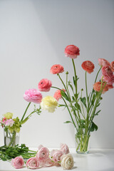 Coral ranunculus, and a mix of flowers on a light background