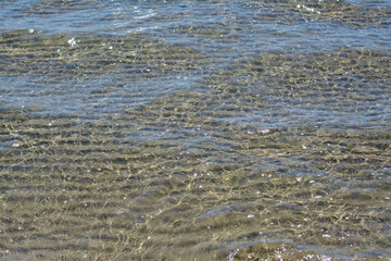 Beautiful sea water surface with waves on sunny day