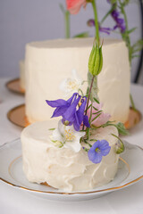 Fototapeta na wymiar White cake decorated with fresh flowers