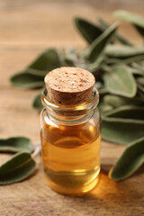 Bottle of essential oil and fresh sage leaves on wooden table, closeup