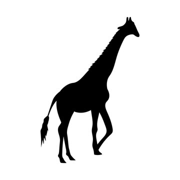 giraffe silhouette icon