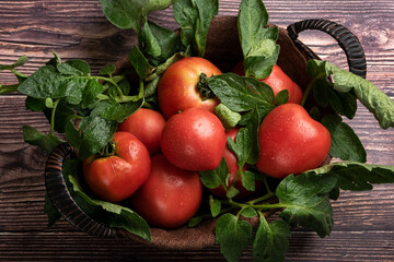 Fresh picked tomatoes, rustic country farm food, organic ingredients