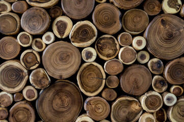 A wooden panel made of sawn acacia trunks of different sizes and textures.