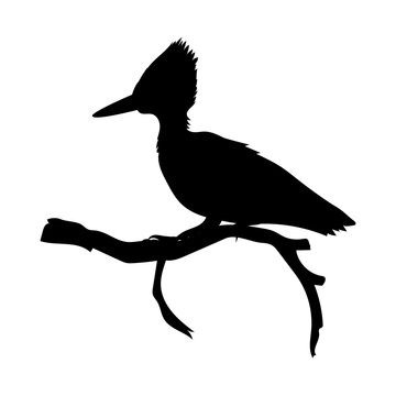 recommend clip art: hoopoe bird silhouette