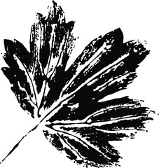 Сurrant leaf print. Vector illustration.