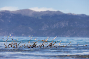 American Nature Landscape Background. Lake Tahoe, California, United States of America.