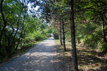 Un tratto della pista ciclopedonale Cottur dove passa la prima tappa della Via Flavia, cammino che segue la costa del Friuli Venezia Giulia da Lazzaretto ad Aquileiaad Aquileia