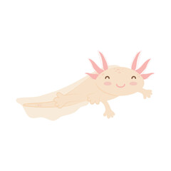 Fototapeta na wymiar cute axolotl swimming