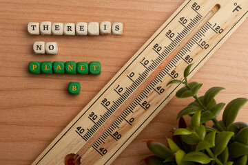 There is no planet B concept: dice on a table with a thermometer and a plant