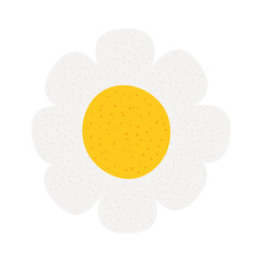 beautiful daisy flower