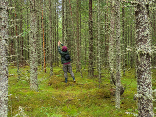 Fototapeta premium Sweden