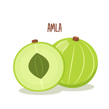 Indian Gooseberry Fruits Or Amla (phyllanthus Emblica) Indain Fruit Vector Icon Illustration On White Background. Indian Gooseberry, Amla Berries And Amla.