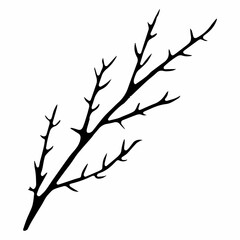 Black and White Hand Drawn Flower Leaves Silhouette Isolated on White Background
