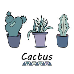 Cute set of cacti in a pot , hand-drawn 