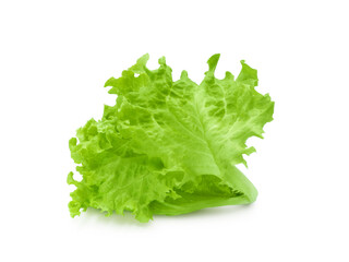 Fresh lettuce bunch isolated on white background  © Yana Bo