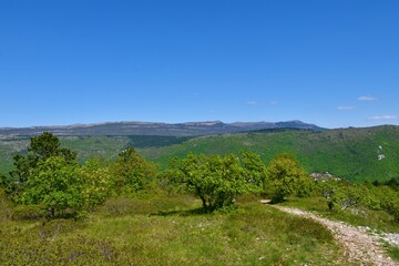 Obraz premium Scenic view of mountains and hills in Istria in Slovenia and a meadow with low growing mediterranean trees near Socerga
