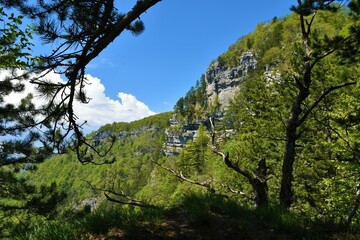 Rock cliff and forest covered slopes bellow Krokar mountain near Kocevska reka in Dolenjska, Slovenia framed by tree branches