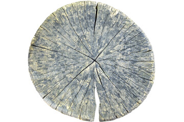 Big tree trunk slice cut from old wood isolated on white background. Textured surface with rings and cracks. Beautiful pattern of annual rings on cut of tree. Close-up. Selective focus.