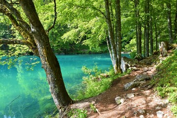 Hiking trail on the shore of Laghi di Fusine Inferiore in commune di Tarvisio, Italy with the lake in turquoise color