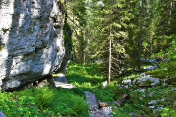 Hiking trail in Julian alps and Triglav national park leading bellow a vertical rock wall and a...