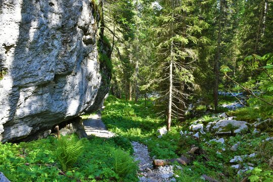 Hiking Trail In Julian Alps And Triglav National Park Leading Bellow A Vertical Rock Wall And A Conifer Forest