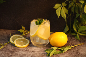 lemonade with lemon and mint